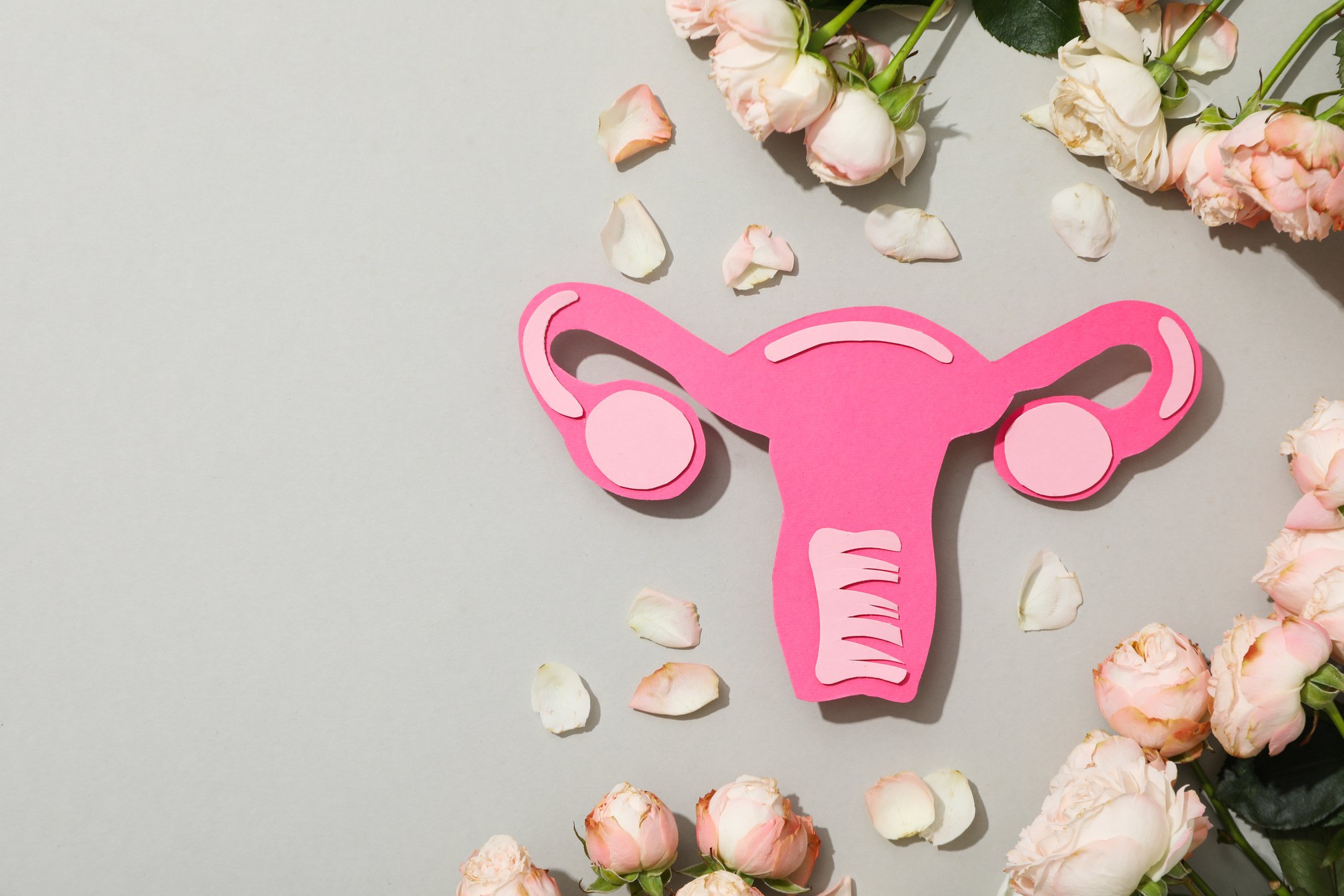 Women's health and women's healthcare concept with uterus